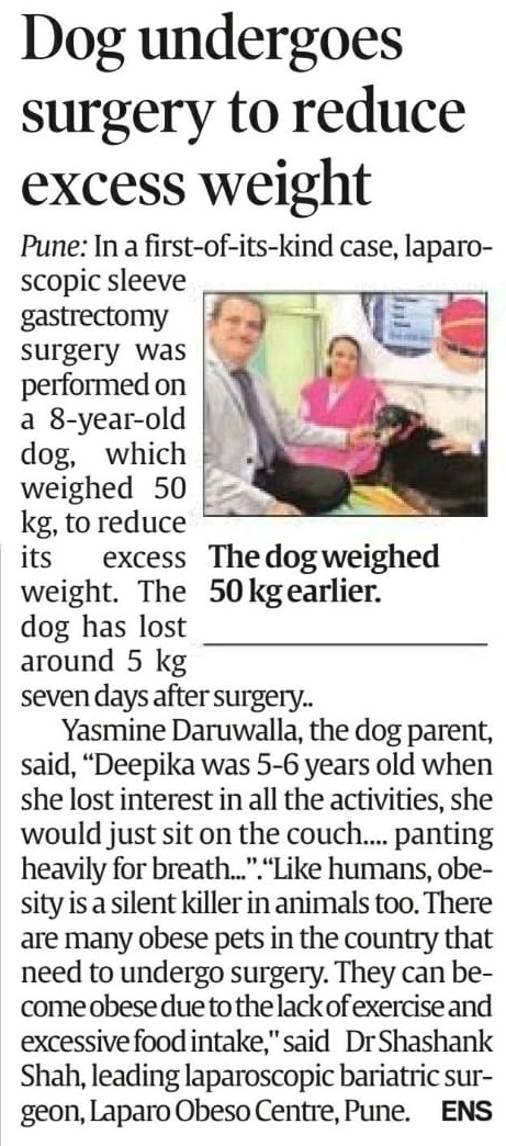 Laparoscopic sleeve gastrectomy surgery on Pet Dog