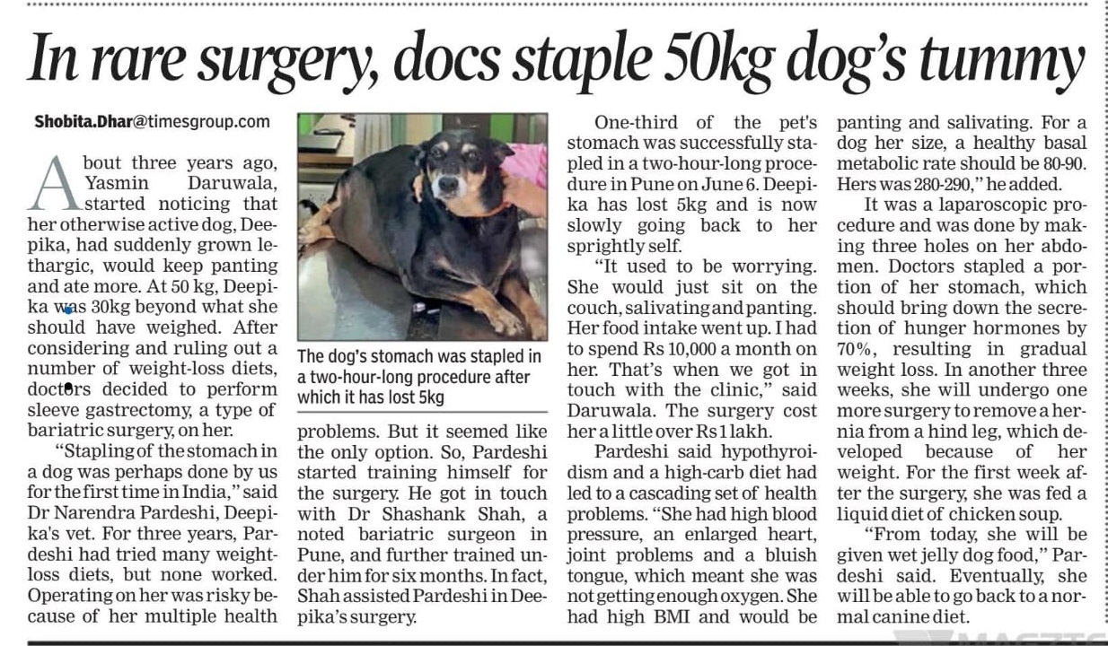 Laparoscopic sleeve gastrectomy surgery on Pet Dog