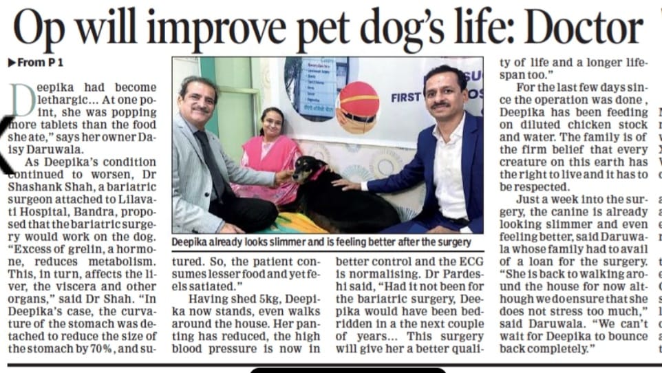Laparoscopic sleeve gastrectomy surgery on Pet Dog