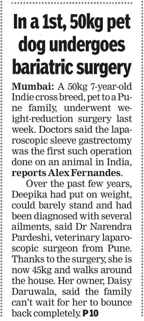 Laparoscopic sleeve gastrectomy surgery on Pet Dog